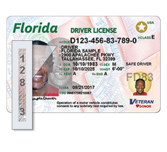 Drivers License Number Meaning